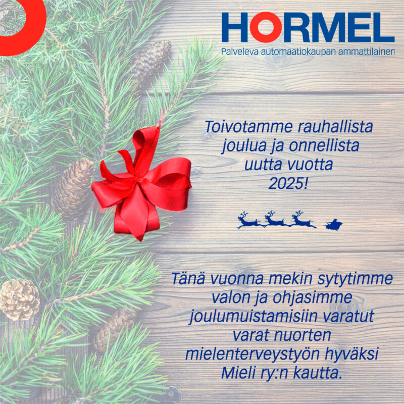 Hyvää joulua ja onnellista uutta vuotta 2025!